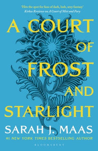 Court of frost and starlight