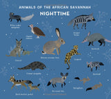 One Day on Our Blue Planet: In the Savannah