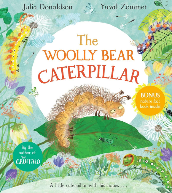 Woolly bear caterpillar by Julia Donaldson