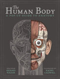 The Human Body: A Pop-Up Guide to Anatomy Книга с окошками, Книжка-раскладушка