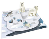 Ultimate Spotlight – Polar Animals Книга со створками