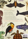 Animalium: (Welcome To The Museum)