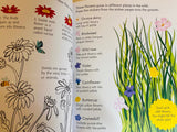 Nature Activity book Usborne Little Children