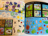 Nature Activity book Usborne Little Children